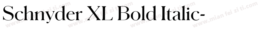 Schnyder XL Bold Italic字体转换